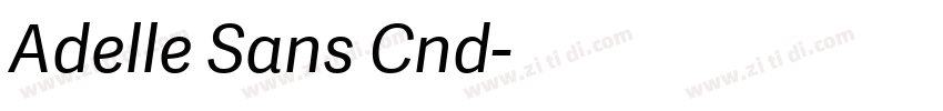 Adelle Sans Cnd字体转换